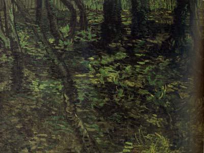 Vincent Van Gogh Undergrowth with Ivy (nn04) Spain oil painting art